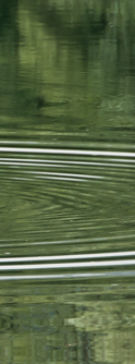 Wasser